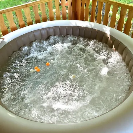 Gruzanski Horizonti Std1