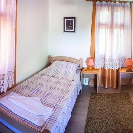 Gruzanski Horizonti Std1