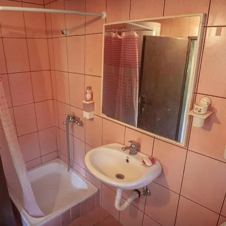 Gruzanski Horizonti Std1