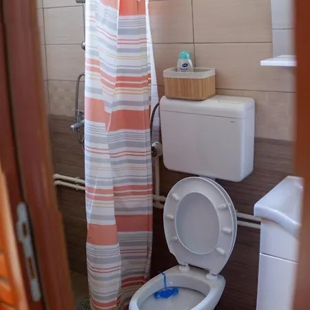 Gruzanski Horizonti Std1 *