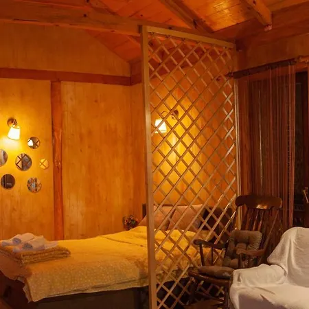 Gruzanski Horizonti Std1 * Knic