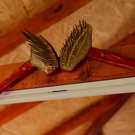 Gruzanski Horizonti Std1 *