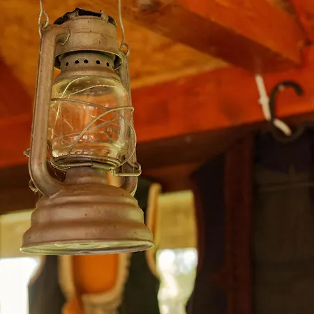 Gruzanski Horizonti Std1 *