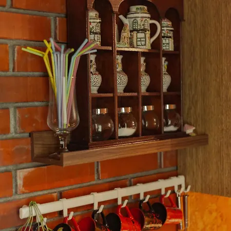 Gruzanski Horizonti Std1 Knic