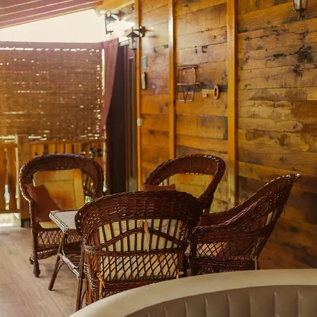 Gruzanski Horizonti Std1 Knic