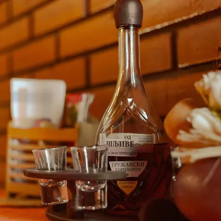 Gruzanski Horizonti Std1 Apartamento *