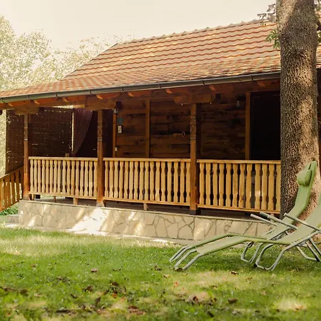 Gruzanski Horizonti Std1 Knic