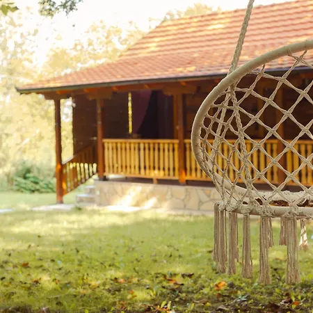 Gruzanski Horizonti Std1 *