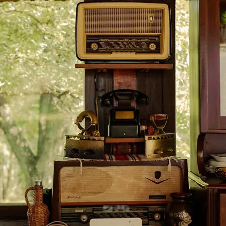 Gruzanski Horizonti Std1 * Knic