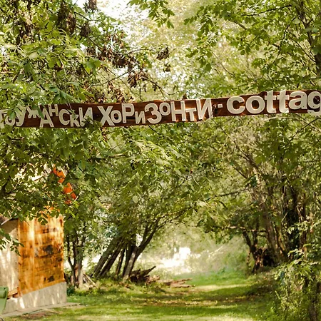 Gruzanski Horizonti Std1 *