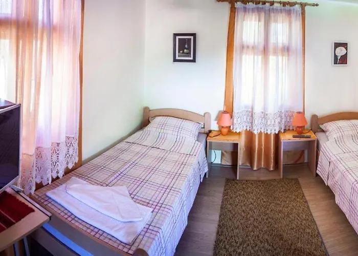 Gruzanski Horizonti Std1