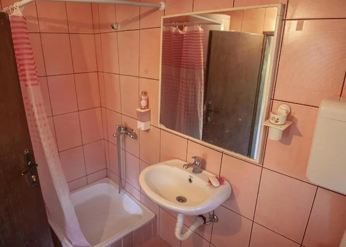 Gruzanski Horizonti Std1