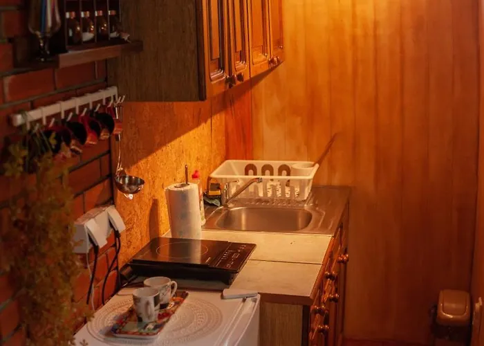 Gruzanski Horizonti Std1 Knic