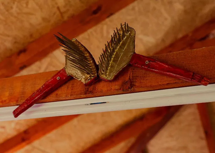 Gruzanski Horizonti Std1 *