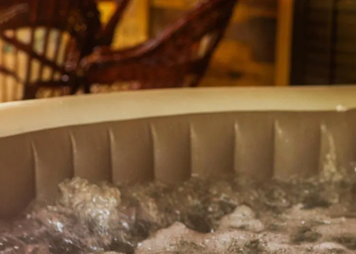 Gruzanski Horizonti Std1