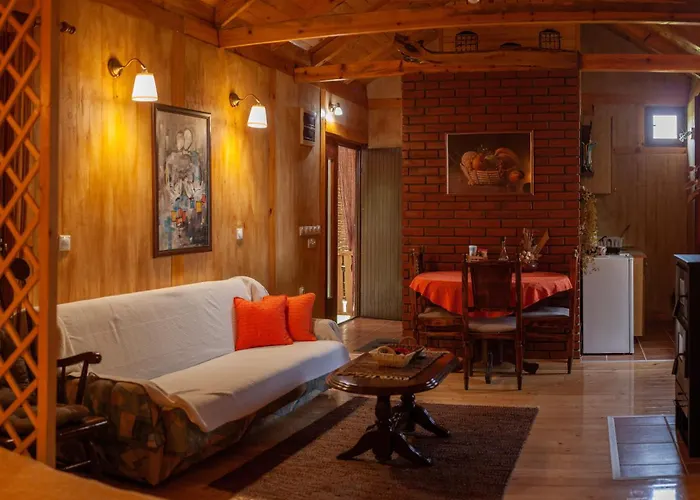 Gruzanski Horizonti Std1 Knic