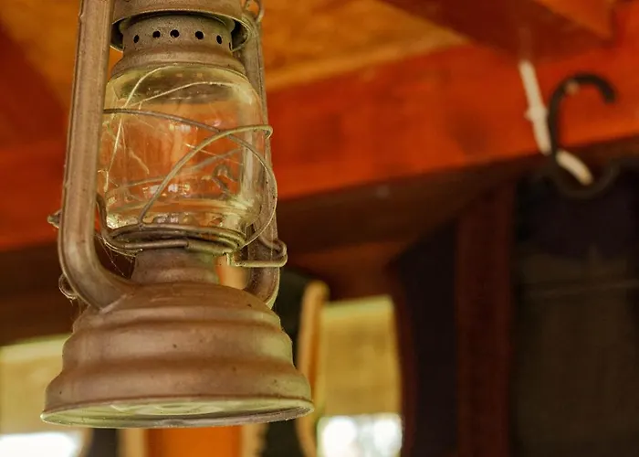 Gruzanski Horizonti Std1 *