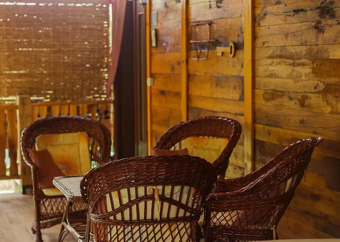 Gruzanski Horizonti Std1 Knic