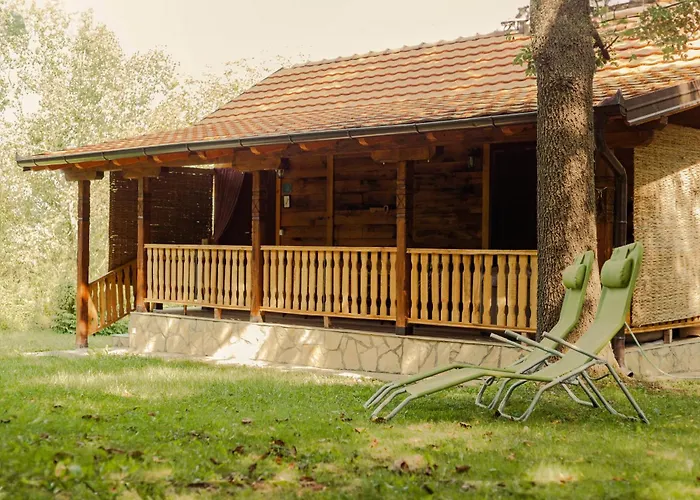 Gruzanski Horizonti Std1 Knic