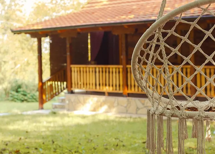 Gruzanski Horizonti Std1 *