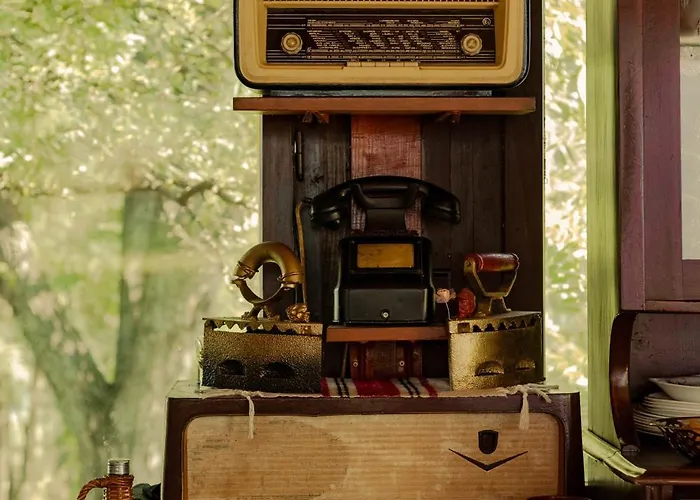 Gruzanski Horizonti Std1 * Knic