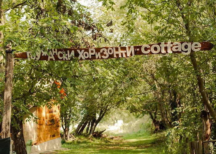 Gruzanski Horizonti Std1 *